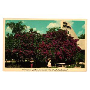 Vintage Postcard Great Masterpiece With Crimson Bougainvillea Lake Wales Florida